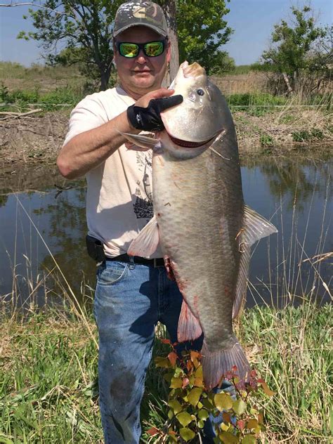 State record for bigmouth buffalo broken by same angler nearly nine years later - JobbieCrew.com