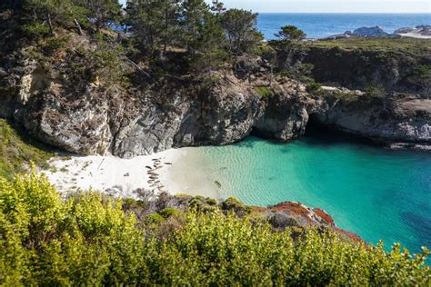 Everything to Know About Visiting Point Lobos State Natural Reserve