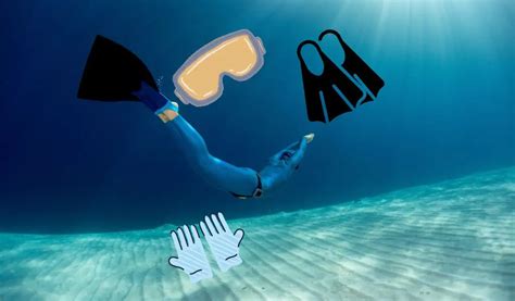 What is essential freediving equipment? - The Church Mouse