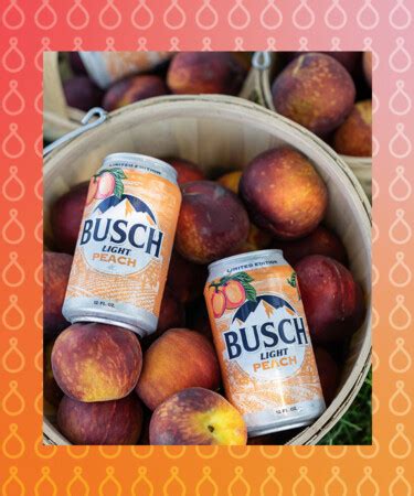 If You Miss Busch Light Apple, The Brand's New Seasonal Flavor Will ...