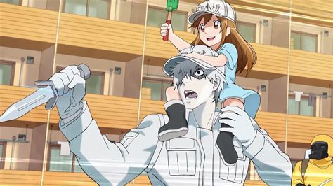 Download U-1146 (Cells At Work!) Platelet (Cells At Work!) Anime Cells At Work! HD Wallpaper