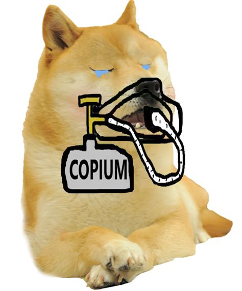 Just a fast Doge COPIUM template. Not the cleanest, but I had to make one fast and decided to ...