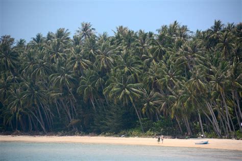 The Ghost of Paradise Past in the Trat Islands