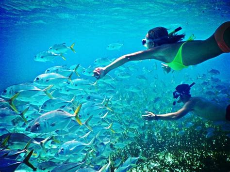 Belize Snorkeling - What It's Like And Where To Snorkel | Belize Travel ...