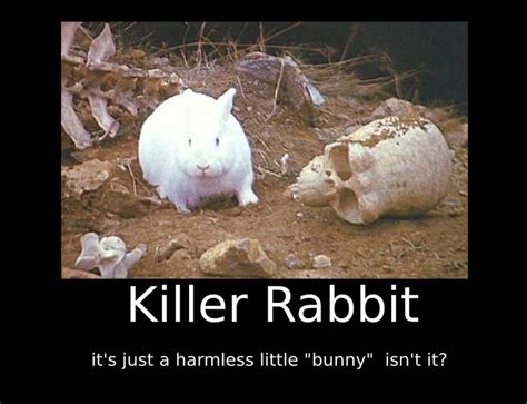 Killer rabbit Motivational by nicksnack on DeviantArt