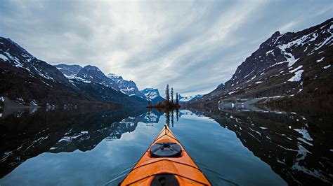 Bing HD Wallpaper Nov 27, 2020: Green is the new black - Bing Wallpaper ...