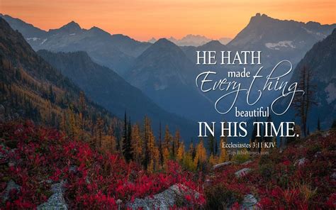 Ecclesiastes 3:11 KJV Desktop Wallpapers | Bible Verse Wallpapers