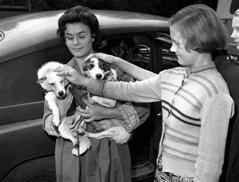 The incredible story of Belka & Strelka - the first dogs to return from ...