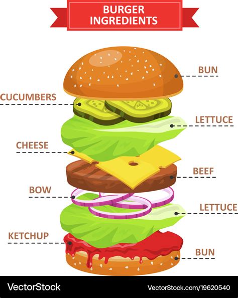 Burger ingredients set Royalty Free Vector Image