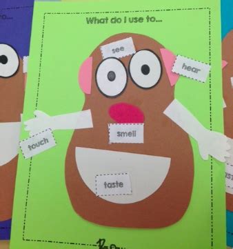 Preschool Wonders: 5 {Senses} for Friday!