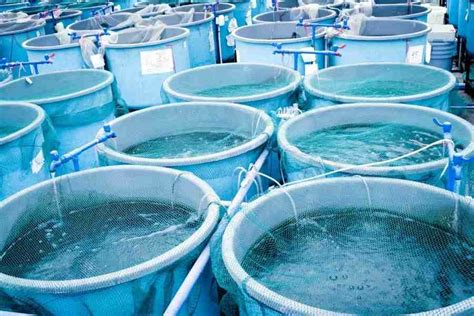 Aquaculture Systems - land and water-based - Basic Agricultural Study