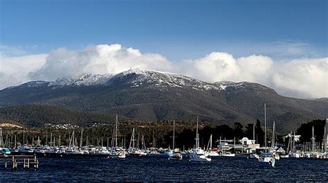 Bumpintomums-Explore the Majestic Beauty of Mount Wellington