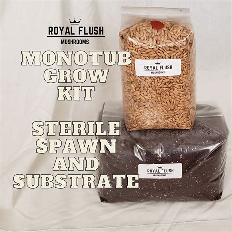 Monotub Kit - Sterile Spawn and Substrate Kit - Just Add Spores – Royal Flush Mushrooms