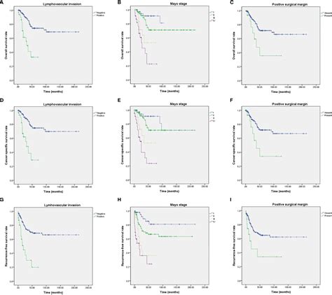 Frontiers | The Prognosis and Oncological Predictor of Urachal Carcinoma of the Bladder: A Large ...