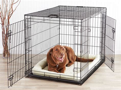 Have You Done These to Achieve Fast Puppy Crate Training? | UK Pets