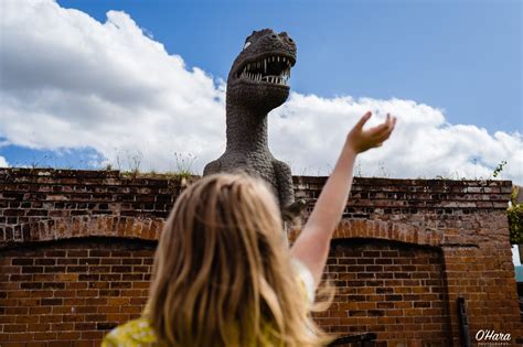 Fort Paull Museum Visit - O'Hara Photography