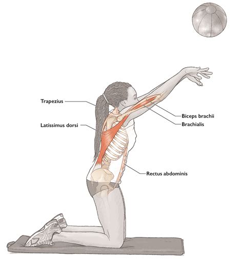 6 medicine ball throws - FitPro Blog