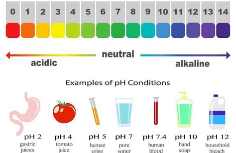 What is the PH of Distilled Water: What is the PH value of water and distilled water?