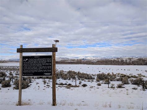 Wyoming Wildlife | JacobBarlow.com