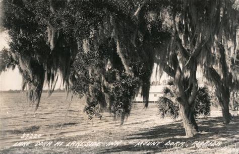 Lake Dora at Lakeside Inn Mount Dora, FL Postcard