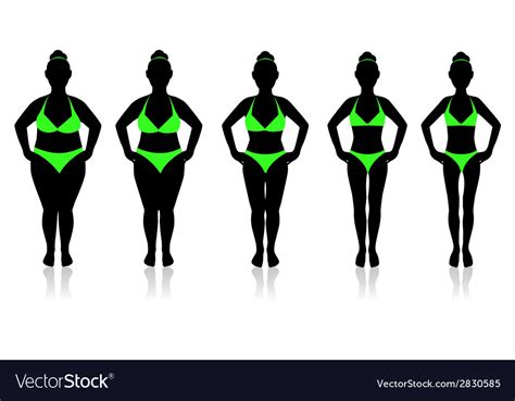 Weight loss and diet Royalty Free Vector Image