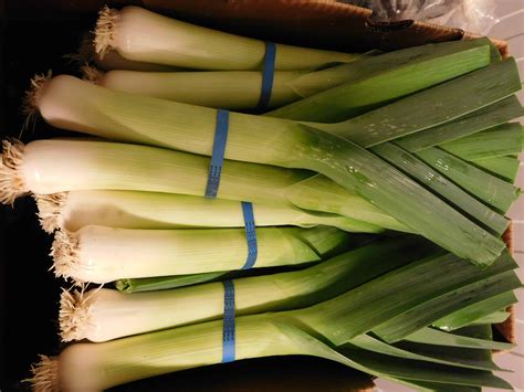 Leek Harvesting, Packing & Processing - The Produce Nerd