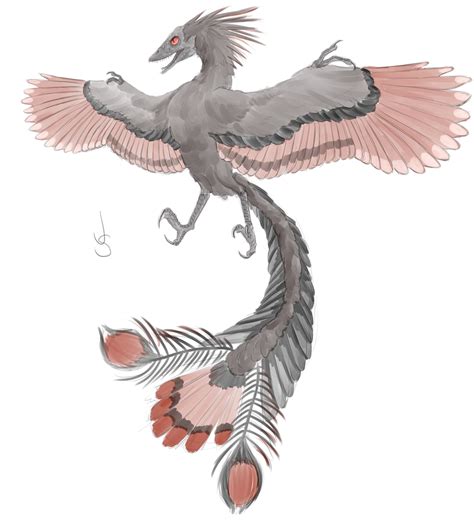 Archaeopteryx by dragongirl00 on DeviantArt