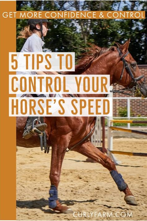 Slow Down a Fast Horse Gait: Speed Control the Walk, Trot, & Canter ...