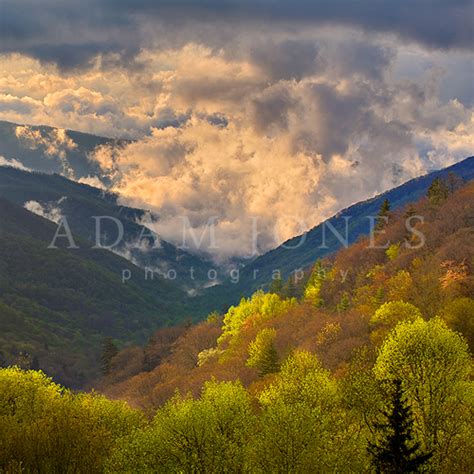 Smoky Mountains Photography Workshop – Adam Jones Photography