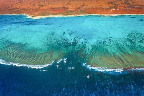 Scuba diving in Ningaloo, Exmouth and Coral Bay | ZuBlu