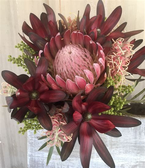 Protea, Leucadendron, Berzelia and Grevillea Bouquet