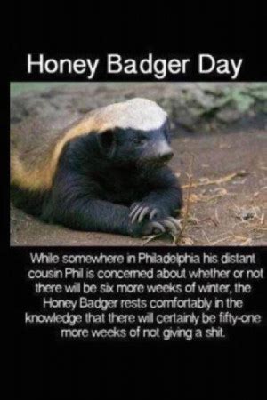 Honey Badger Funny Quotes. QuotesGram