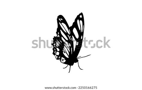 10,228 Monarch Butterfly Hands Images, Stock Photos & Vectors | Shutterstock