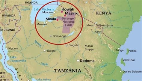 Serengeti Plain On A Map Of Africa - Felice Thomasina