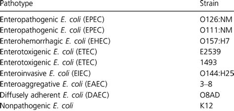 Pathogenic Escherichia coli strains used in this study | Download Table