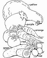 Vegetable Coloring Pages  Best For Kids sketch template