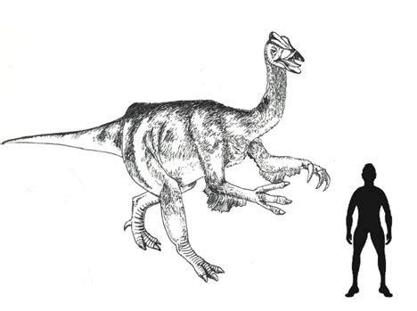 Deinocheirus Dinosaur is Revised by Scientists