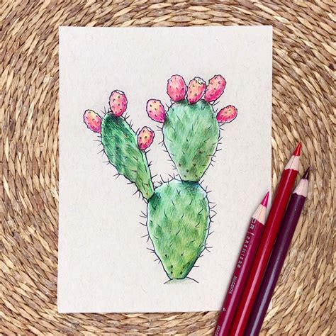 Cactus / Prickly Pear Original 4.5x6 Drawing - Etsy