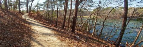 Cliffs of the Neuse Fall Trail Run and Hike