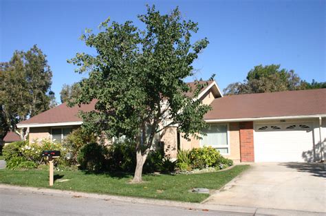 Leisure Village, Camarillo CA Premier Community for Senior Living