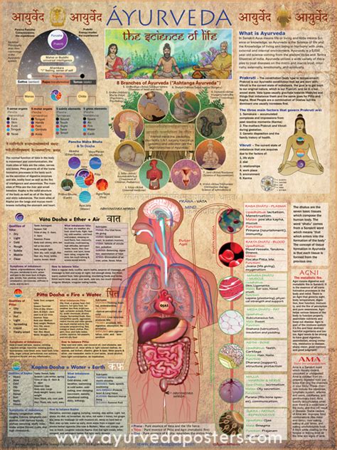 Ayurvedic Poster Revised - Ayurveda Posters