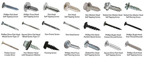 products interstate screw types of wood screws best | Screws and bolts, Wood screws, Nails and ...