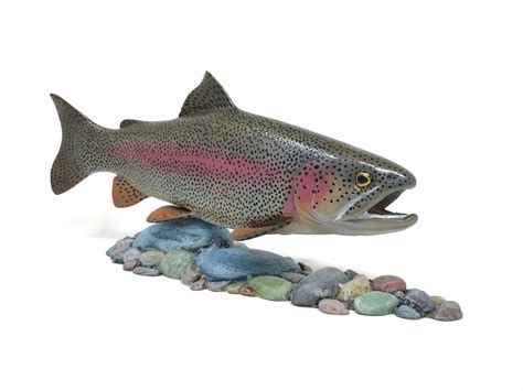 Rainbow Trout sculpture carved fish casting Flyfishing | Etsy