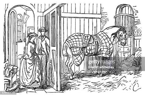 Horse Stable Cartoon Photos and Premium High Res Pictures - Getty Images