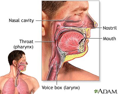 COVID-19 Symptoms, Doctors, Treatments, Advances & More | MediFind