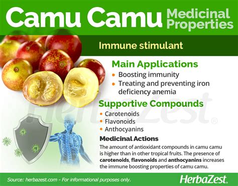 Is Camu Camu A Stimulant? - Recovery Ranger