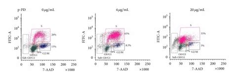 Cell cycle arrest at S phase imposed by p-PD. (a) Cell cycle ...