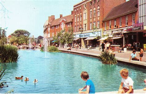 Watford | Watford, Hertfordshire, Pond