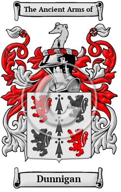 Dunnigan Name Meaning, Family History, Family Crest & Coats of Arms