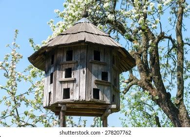 Old Pigeon Loft Photos, Images & Pictures | Shutterstock